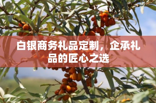 白银商务礼品定制，企承礼品的匠心之选