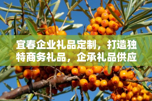 宜春企业礼品定制，打造独特商务礼品，企承礼品供应链助力企业发展